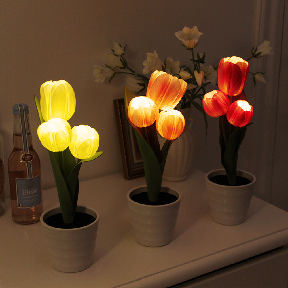 후르츠 튤립팟 LED [LED tulip pot]