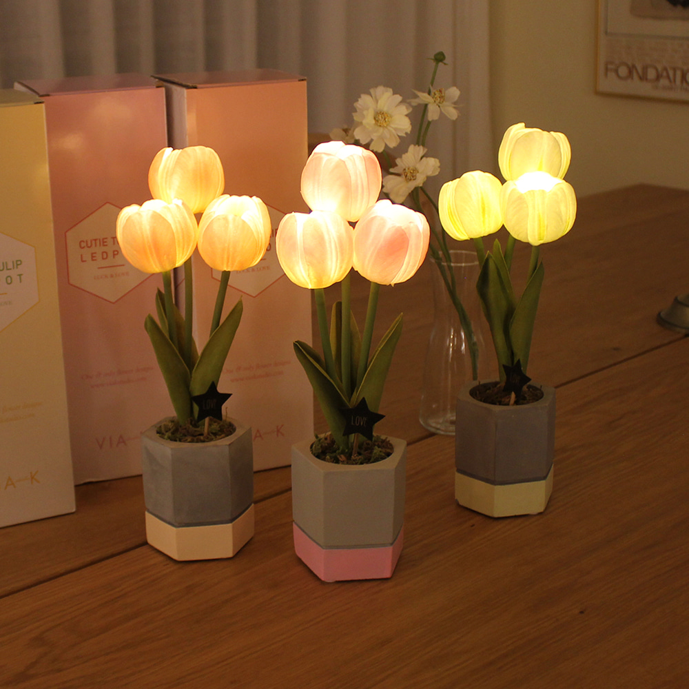 큐티튤립팟 LED [cutie tulip pot LED]